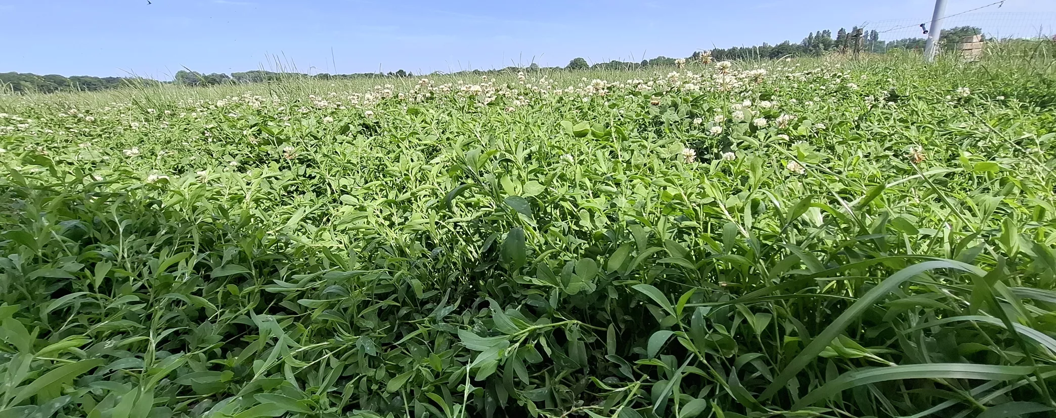 RURANT: Agro-ecologische pioniers