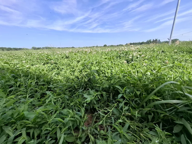 RURANT: Agro-ecologische pioniers