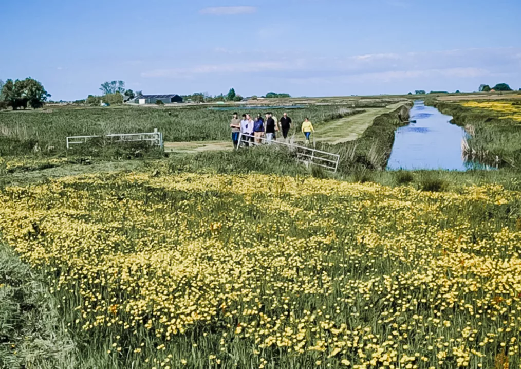 RURANT, paluDIGIcultuur4